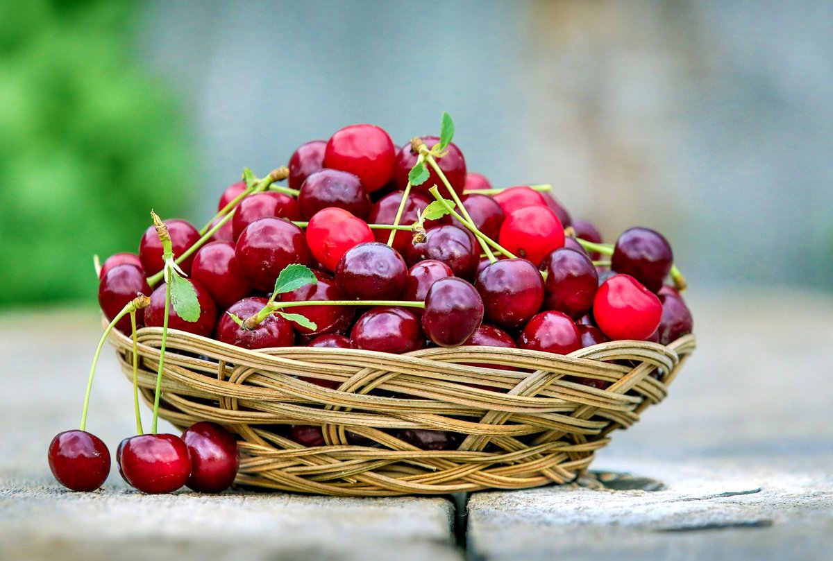 Panier de cerises rouges posé sur un muret de pierre