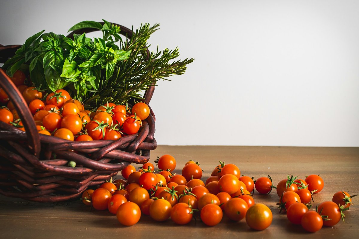 Panier en osier rempli de tomates cerises avec un bouquet de basilic