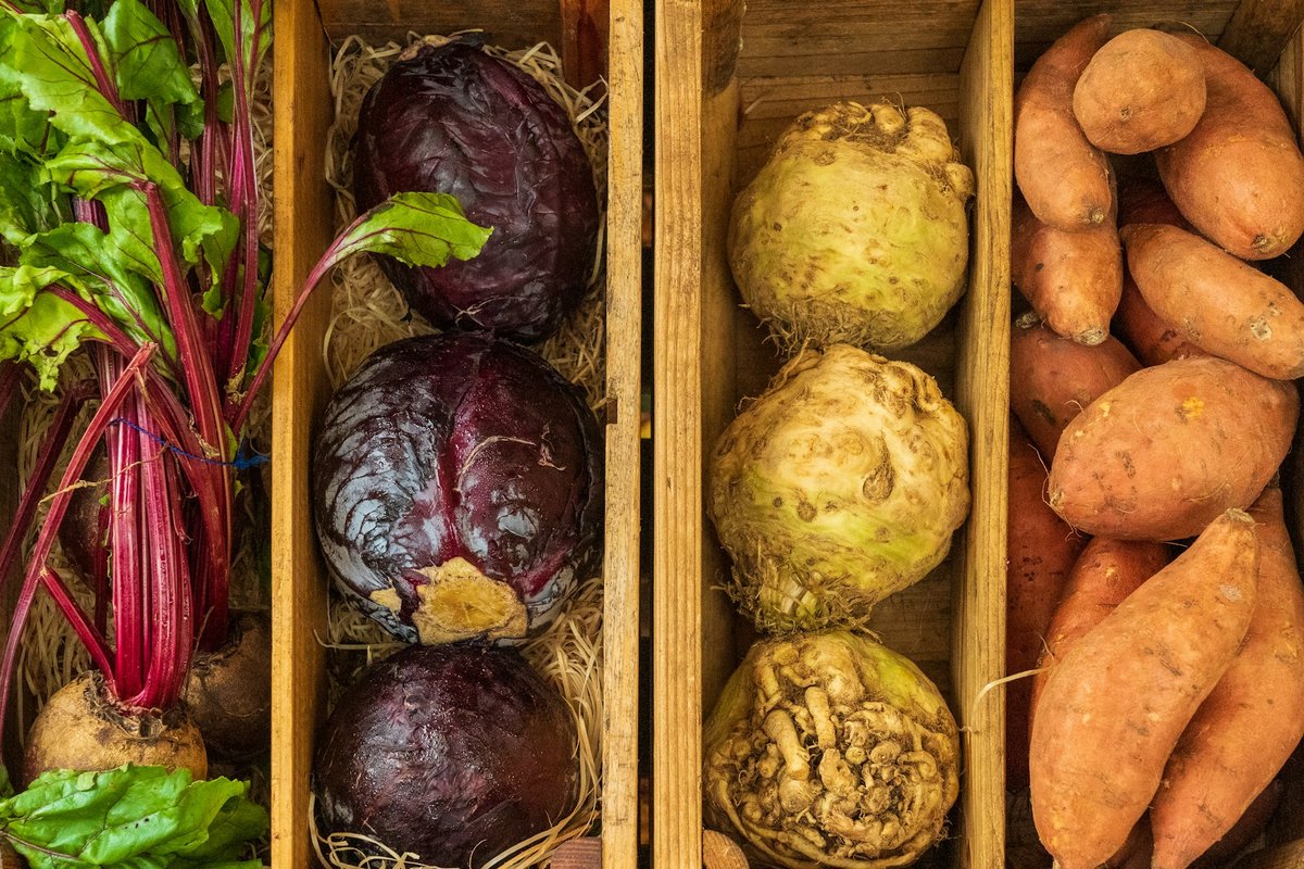 Caisses de betteraves, de chou rouge, de céleri-rave et de patates douces sur un étal d'hiver